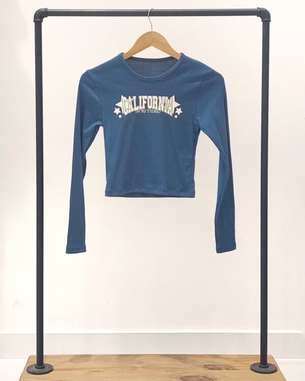 #259165 Remera "CALIFORNIA" ✨