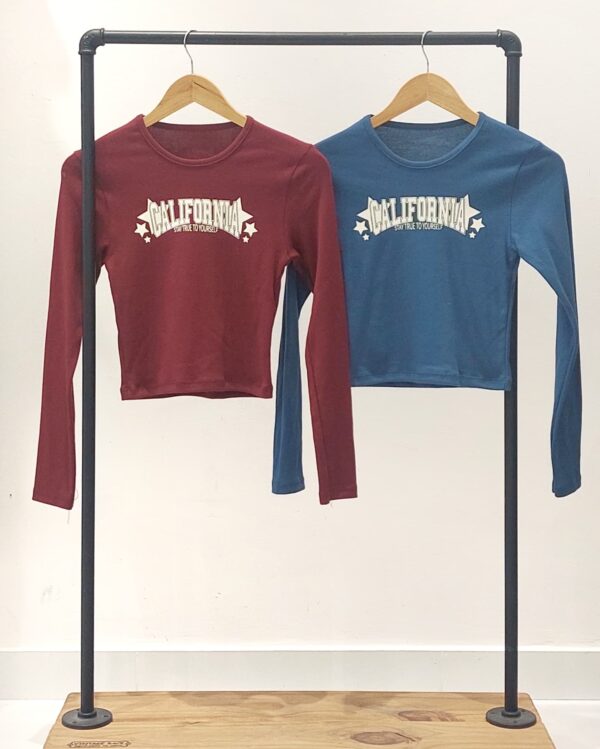 #259165 Remera "CALIFORNIA" ✨ - Imagen 2
