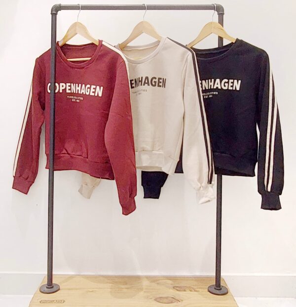 #259171 Buzo "COPENHAGEN" - Imagen 3