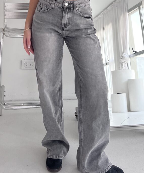 #258503 Jean Wideleg Gris