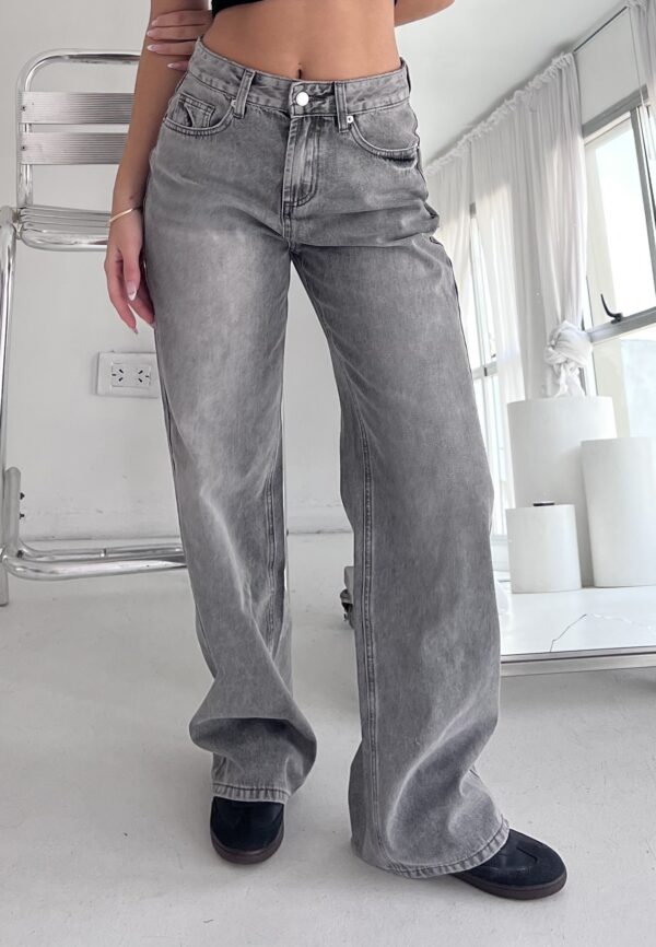 #258503 Jean Wideleg Gris